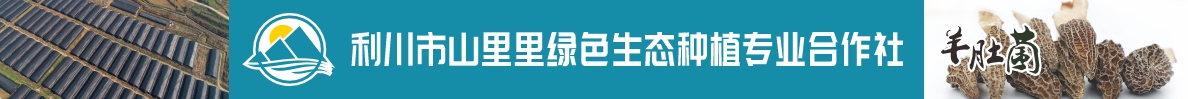 利川市山里里绿色生态种植专业合作社